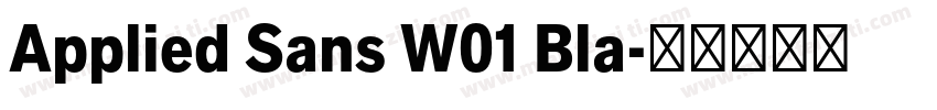 Applied Sans W01 Bla字体转换